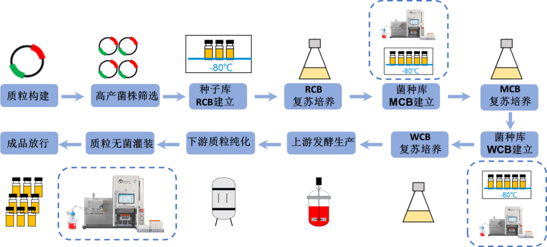 【收藏】細胞庫、菌株庫、質(zhì)粒庫的自動化灌裝解決方案