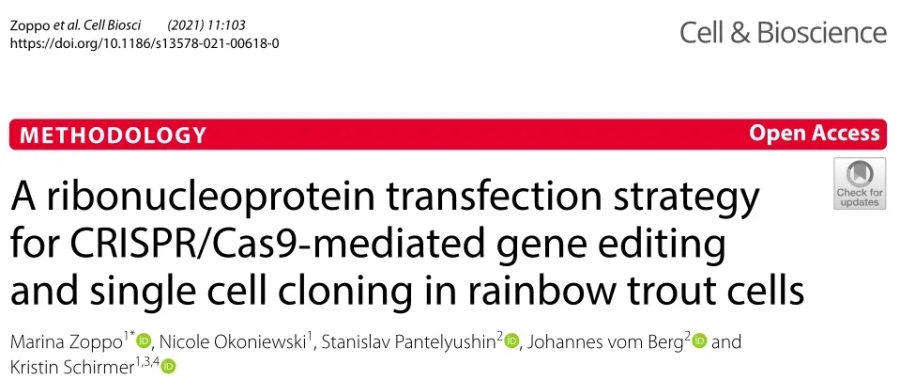 NEPA21文獻回顧—虹鱒魚細胞中CRISPR/Cas9介導(dǎo)的基因編輯的核糖核蛋白轉(zhuǎn)染和單細胞克隆方法